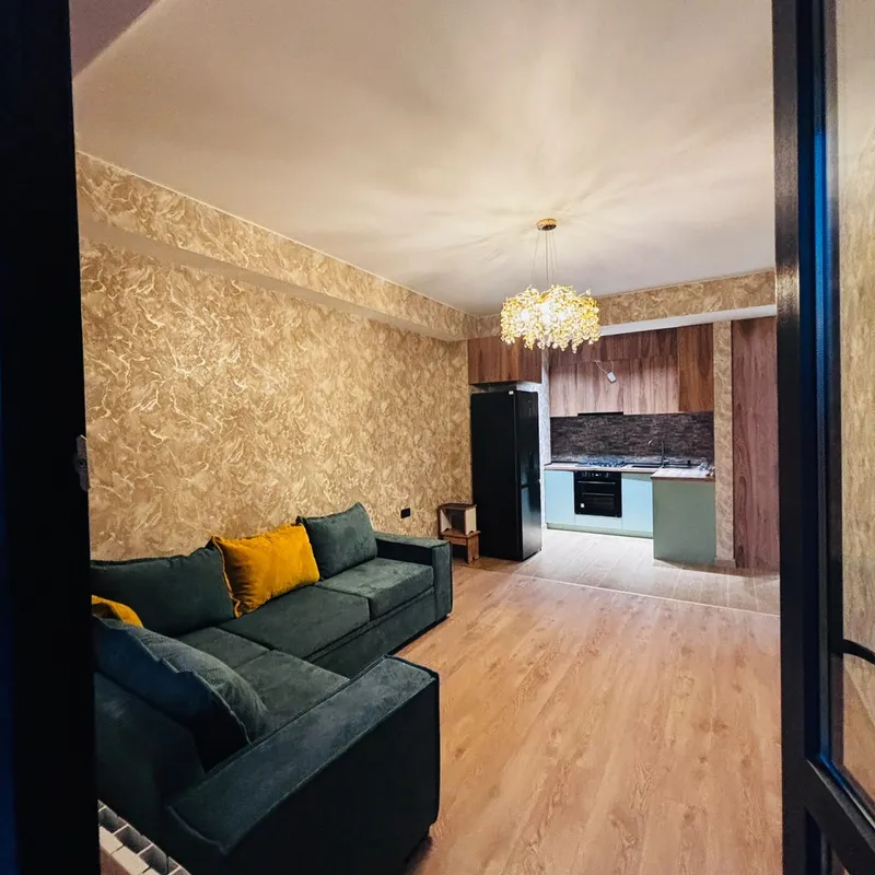 2-room apartment in Samgori, $500/month
