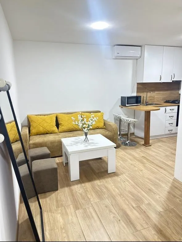 2-room apartment on Vazia-Pshavela, $550/month