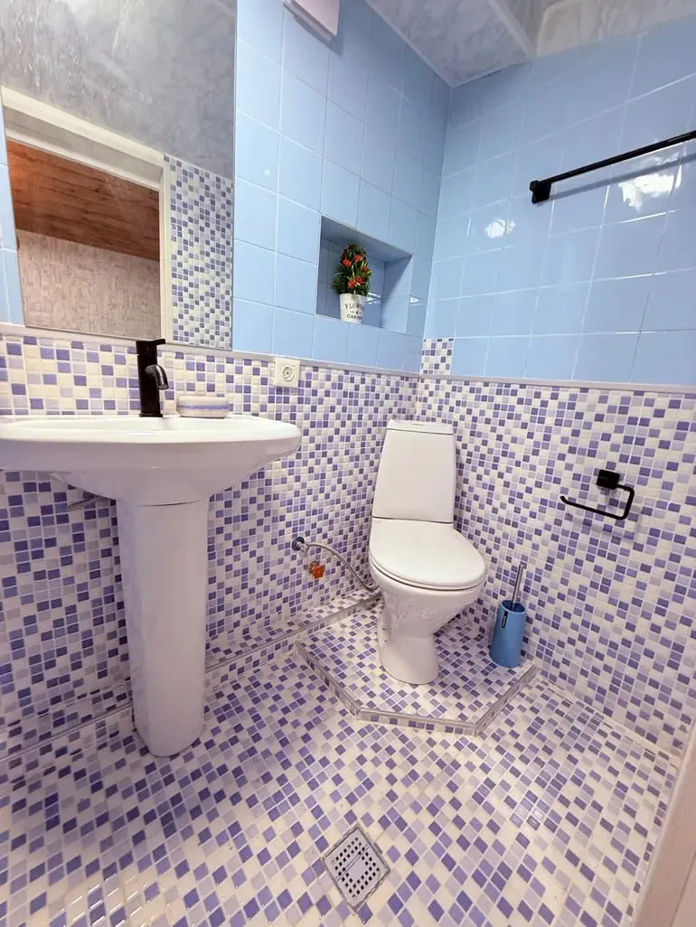 3-room apartment in Chugureti, Agmashenebeli, $800/month
