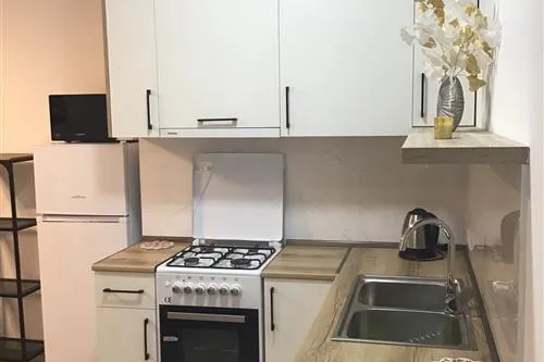 2-room apartment on Kvtaradze, Saburtalo, $600/month