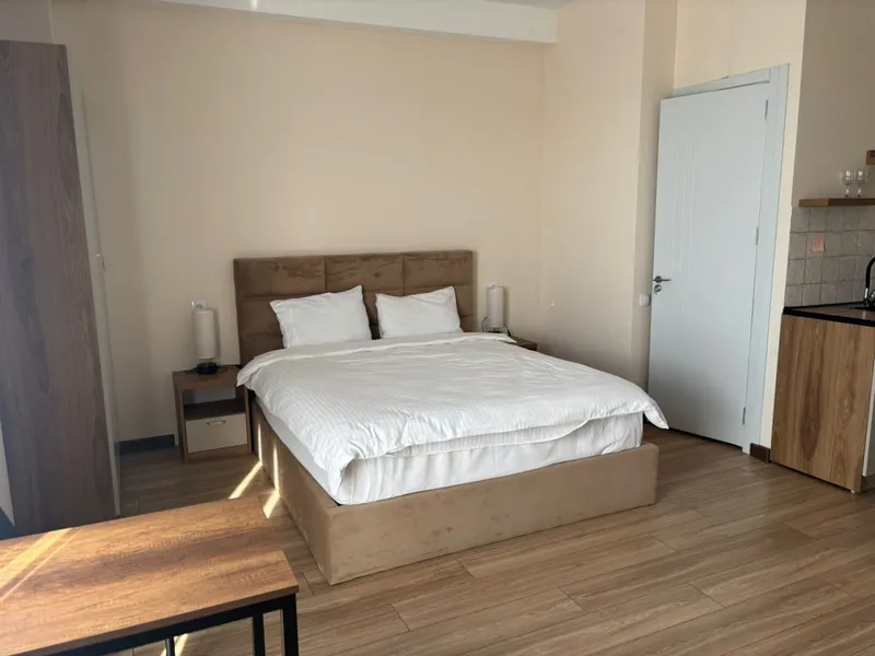 1-bedroom apartment near Vakhtang Gorgasali bridge, Didube, $600/month